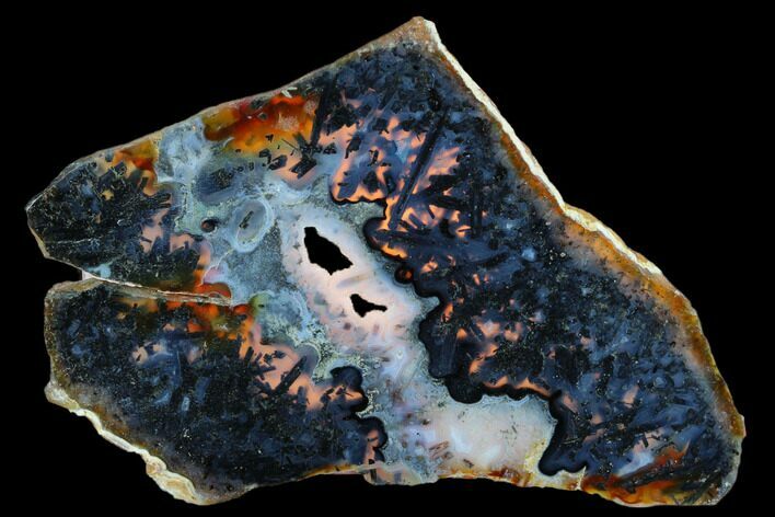 Polished Trent Agate With Stibnite & Realgar - Oregon #184756